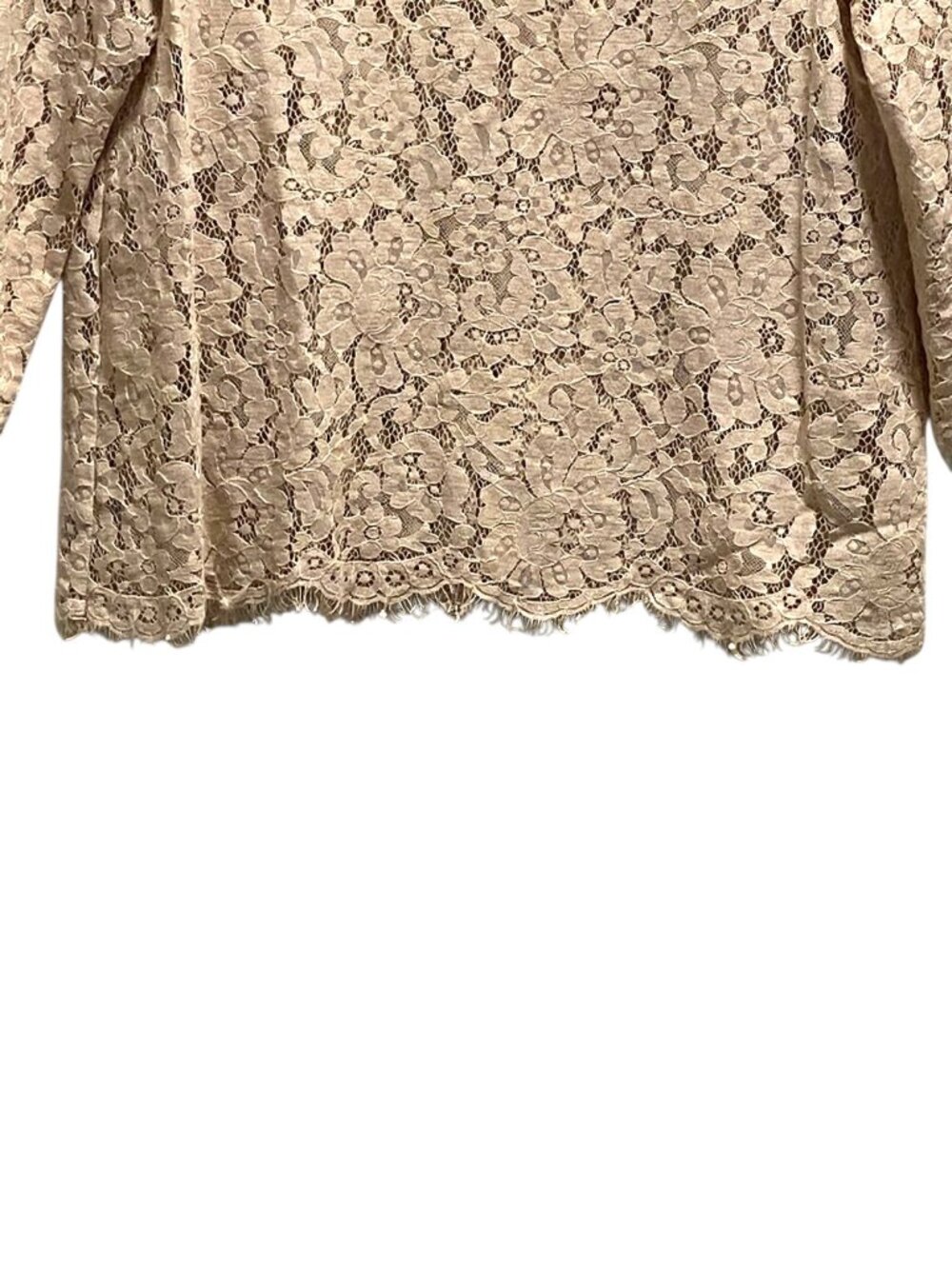 Joie Allover Lace Blouse Beige Size S Romantic Coquette Spring Neutral Bohemian - Picture 7 of 13